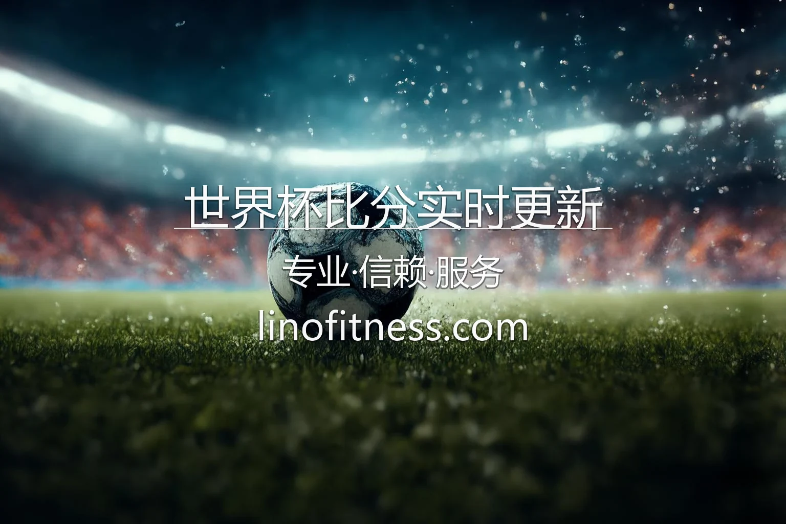 世界杯比分实时更新 官方应用界面